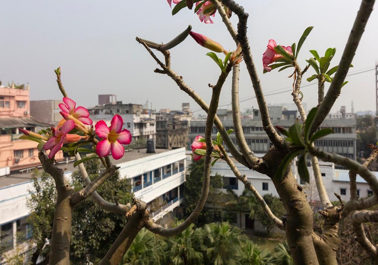 Neelam Bed & Breakfast Kolkata Ngoại thất bức ảnh